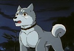 Ginga Nagareboshi Gin picture