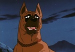 Ginga Nagareboshi Gin picture