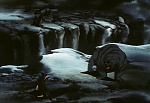 Ginga : Scarred in Your Heart Forever! The Oath of the Group! picture