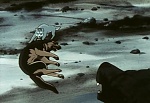 Ginga Nagareboshi Gin picture