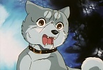 Ginga Nagareboshi Gin picture