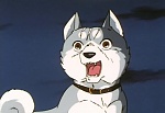 Ginga Nagareboshi Gin picture