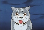 Ginga Nagareboshi Gin picture