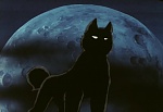 Ginga Nagareboshi Gin picture