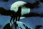 Ginga Nagareboshi Gin picture