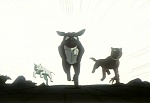 Ginga Nagareboshi Gin picture