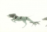 Ginga Nagareboshi Gin picture