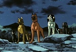 Ginga Nagareboshi Gin picture
