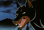 Ginga Nagareboshi Gin picture