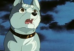 Ginga Nagareboshi Gin picture