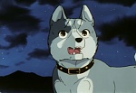 Ginga Nagareboshi Gin picture