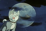 Ginga Nagareboshi Gin picture