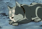 Ginga Nagareboshi Gin picture