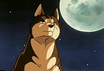 Ginga Nagareboshi Gin picture