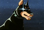 Ginga Nagareboshi Gin picture