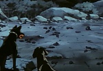 Ginga Nagareboshi Gin picture
