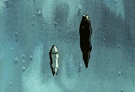 Ginga Nagareboshi Gin picture