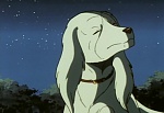 Ginga Nagareboshi Gin picture