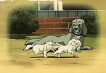 Ginga Nagareboshi Gin picture