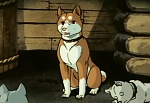 Ginga Nagareboshi Gin picture