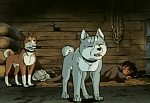 Ginga Nagareboshi Gin picture