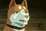 Ginga : Now! Go on the Journey of an Adult! picture