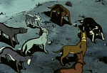 Ginga Nagareboshi Gin picture