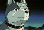 Ginga Nagareboshi Gin picture