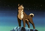 Ginga Nagareboshi Gin picture