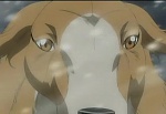 Ginga : Imminent Ambition picture