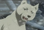 Ginga Densetsu Weed picture