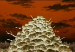Ginga Densetsu Weed picture