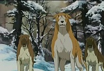 Ginga : The Other Side Of The Bond picture