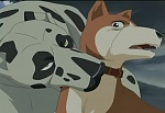 Ginga : The Other Side Of The Bond picture