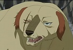 Ginga : The Other Side Of The Bond picture
