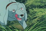 Ginga Nagareboshi Gin picture