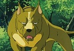 Ginga Nagareboshi Gin picture