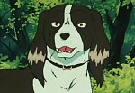 Ginga Nagareboshi Gin picture