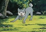 Ginga Nagareboshi Gin picture