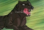 Ginga Nagareboshi Gin picture