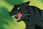 Ginga : Demon Dog! The Three Kai Brothers! picture
