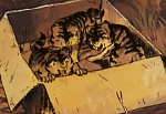 Ginga Nagareboshi Gin picture