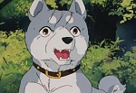 Ginga Nagareboshi Gin picture