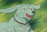 Ginga Nagareboshi Gin picture