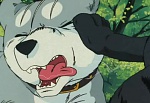 Ginga Nagareboshi Gin picture