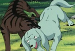 Ginga Nagareboshi Gin picture