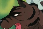 Ginga Nagareboshi Gin picture