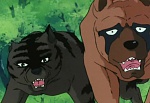 Ginga Nagareboshi Gin picture