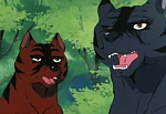 Ginga Nagareboshi Gin picture