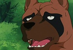 Ginga Nagareboshi Gin picture